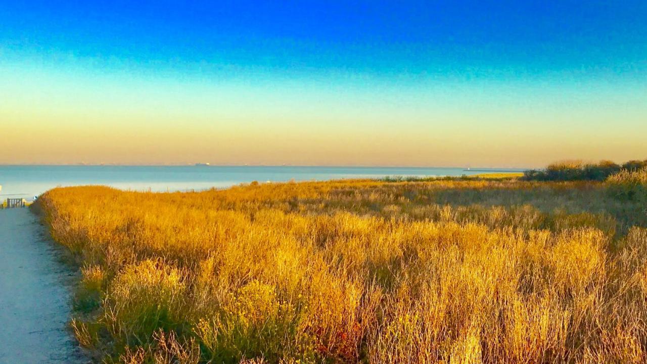 Bed and Breakfast Boutique Hide & Seek, Bed & Beach Гаага Экстерьер фото